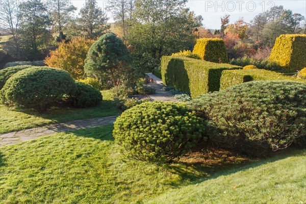 Cottage garden with green lawn, trees, hedges, trimmed bushes and large mountain pines. Modern landscape design