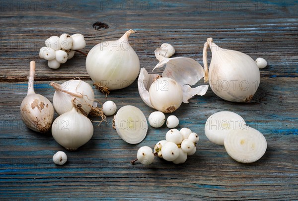 White onion and white berries on a blue rustic wooden background