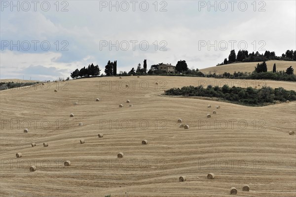 Harvested fields south of Siena, Crete Senesi, Tuscany, Italy, Europe