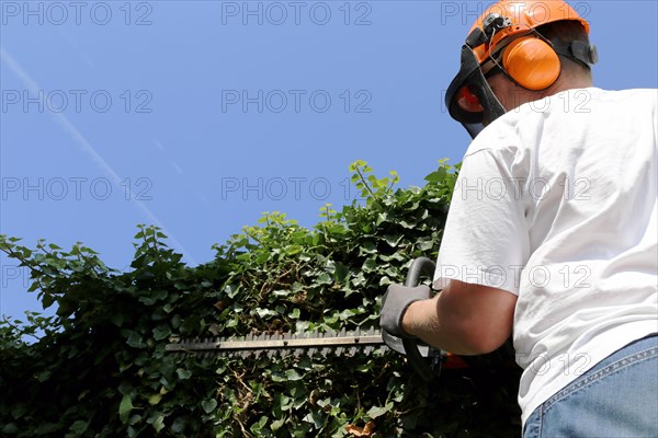 Man cutting hedges and greenery