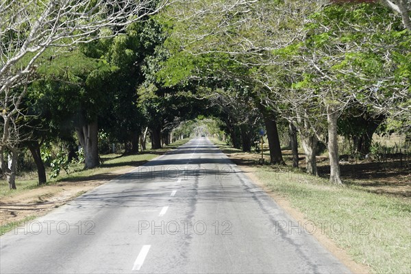 Road near Trinidad, Cuba, Central America