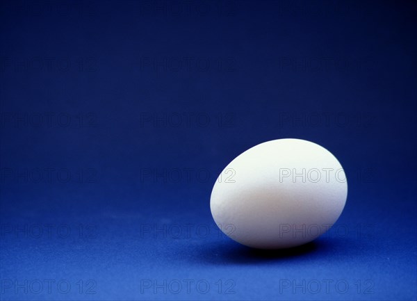 Closeup of one single henÂ´s egg, chicken egg