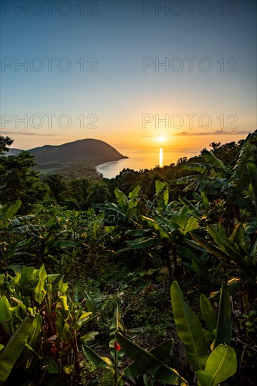 View from a mountain to a secluded bay with a sandy beach and mangrove forest. The sun rises over the sea and bathes the surroundings in a golden light. Grande Anse beach, Basse Terre, Guadeloupe, French Antilles, Caribbean, North America