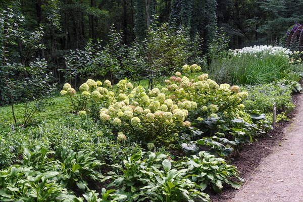 Complex flower bed of perennial plants in the city park. Druskininkai, Lithuania, Europe