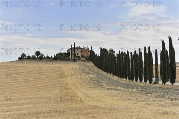 Harvested fields south of Siena, Crete Senesi, Tuscany, Italy, Europe