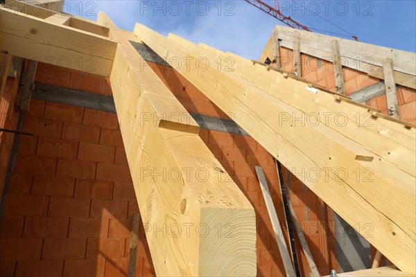 Timber construction and carpentry work on a new residential building