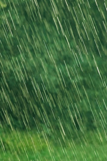 Many bright raindrops of a rain shower against green background, motion blur