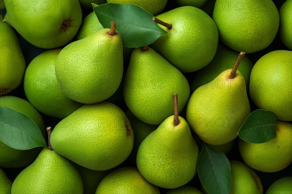 Top view of green pear fruits. KI generiert, generiert AI generated