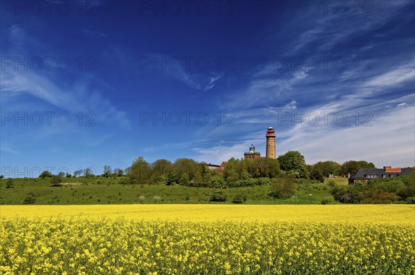 Rapeseed fields at the lighthouse of Cape Arkona on Ruegen