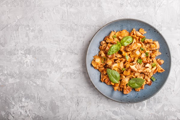 Fried chanterelle mushrooms with basil and spice herbs on gray concrete background. Top view, flat lay, copy space