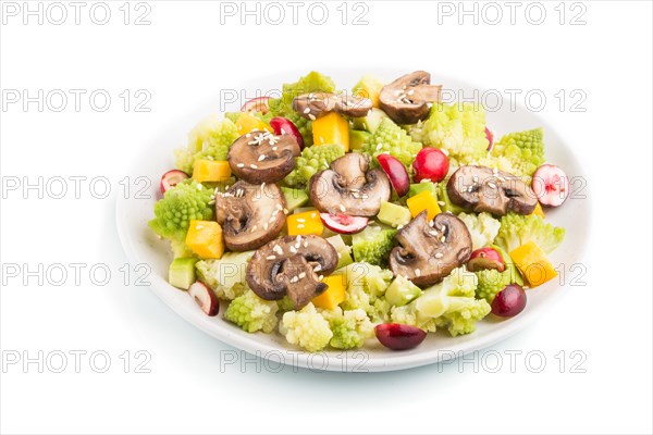 Vegetarian salad from romanesco cabbage, champignons, cranberry, avocado and pumpkin isolated on a white background. side view, close up