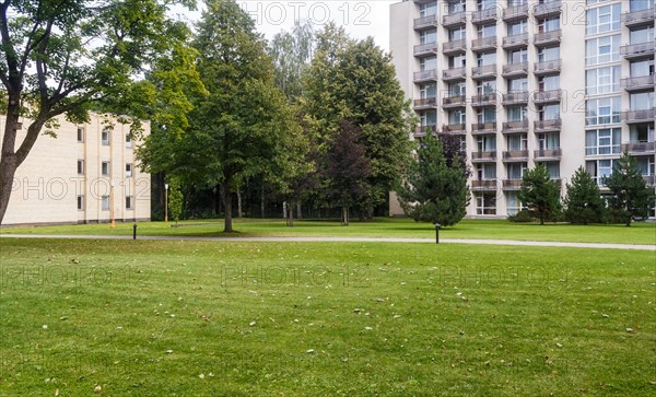 A green lawn with large trees growing in it in the city park of Druskininkai. Lithuania