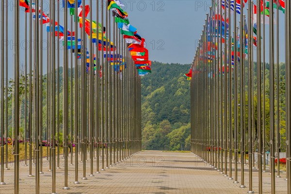 Flags from several nations flying on chrome flagpoles with trees and blue sky in background in South Korea