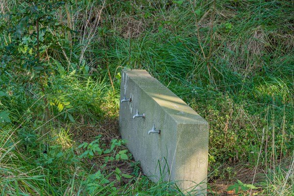 Old concrete drinking fountain with three faucets in grassy wilderness park in South Korea