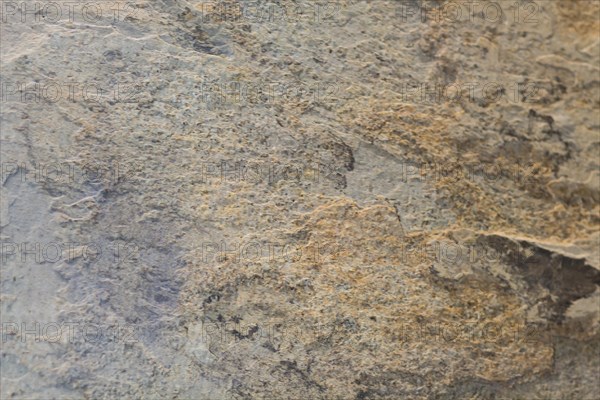 The texture of natural stone, sandstone, limestone, granite