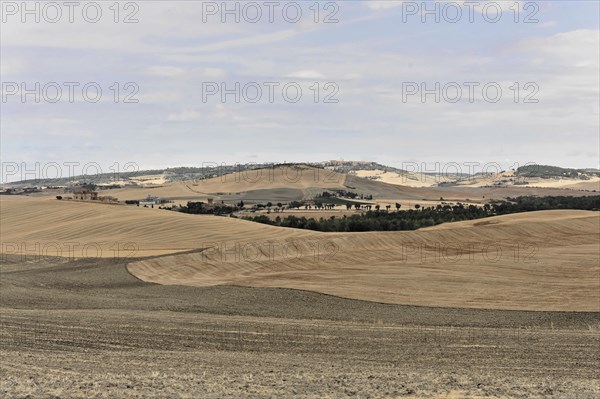 Harvested fields south of Siena, Crete Senesi, Tuscany, Italy, Europe