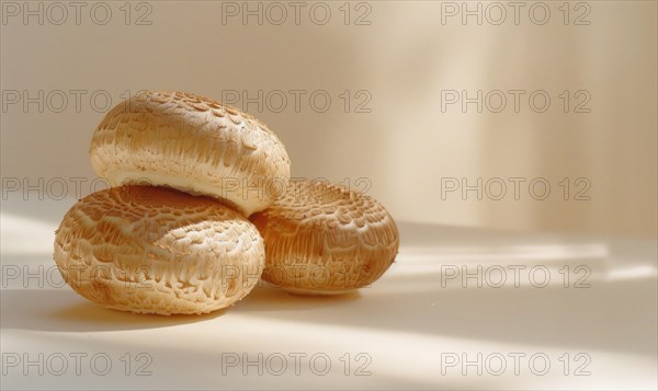 Shiitake mushroom on white background. Shiitake mushroom is a Japanese mushroom. AI generated