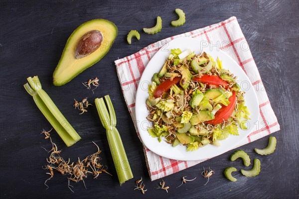 Vegetarian salad of celery, germinated rye, tomatoes and avocado on linen tablecloth, top view, black background