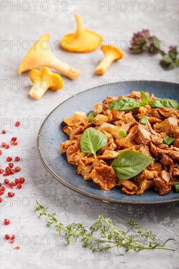 Fried chanterelle mushrooms with basil and spice herbs on gray concrete background. Side view, close up, selective focus