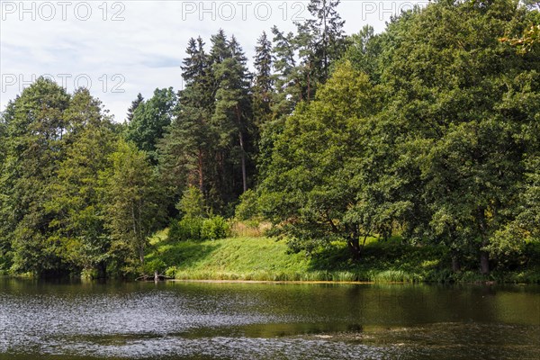 A forest lake surrounded by trees. sunny summer day, Belarus, Europe