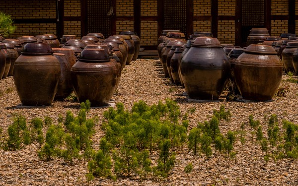 Rows of brown ceramic pickling jars sitting in gravel lot in front of brick and wood building in South Korea