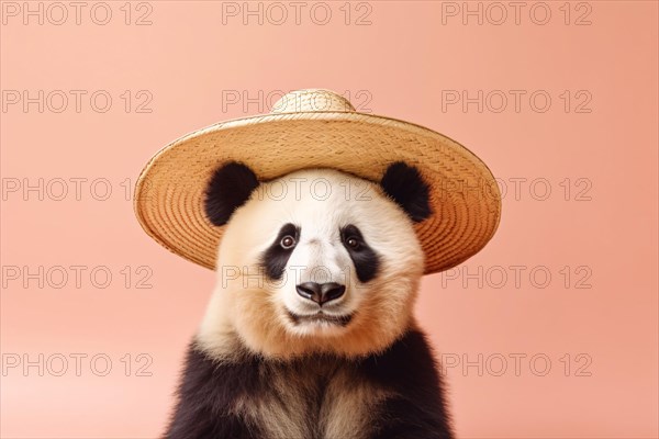 Giant Panda bear with summer straw hat. KI generiert, generiert AI generated