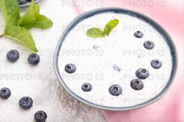 Yogurt with blueberry in ceramic bowl on gray concrete background and pink linen textile. Side view, close up, selective focus