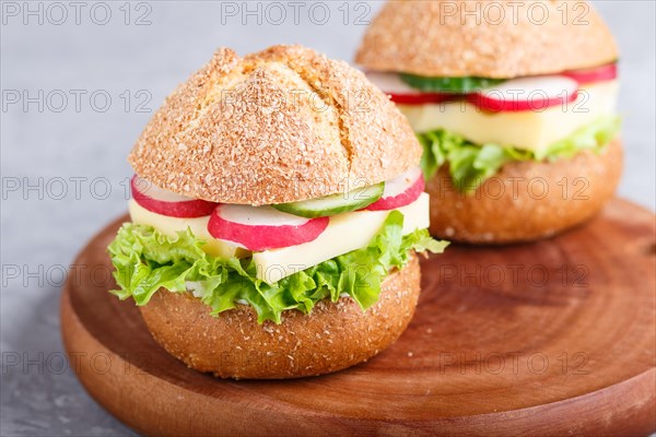 Sandwiches with cheese, radish, lettuce and cucumber on wooden board on a gray concrete background. side view, close up, selective focus