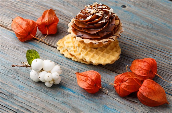 Sweet waffle, cake with cream and red physalis on a rustic blue wooden background