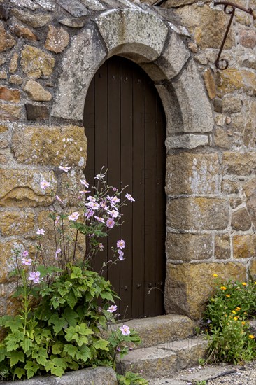 House facade with entrance door, quarry stone house, small flower bed with autumn anemone, Ile de Brehat, Brittany, France, Europe