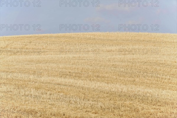 Harvested fields south of Siena, Crete Senesi, Tuscany, Italy, Europe