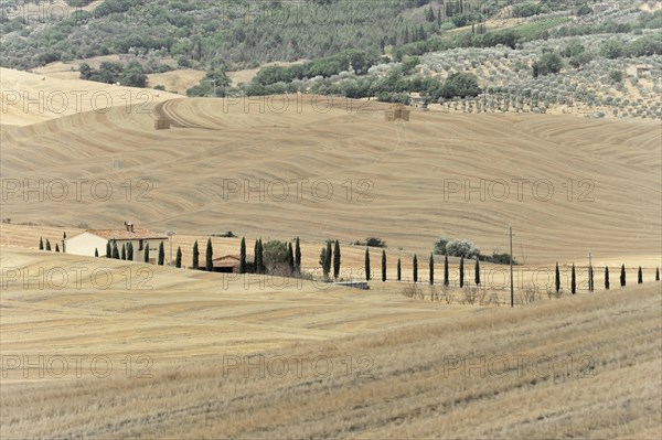 Harvested fields south of Siena, Crete Senesi, Tuscany, Italy, Europe