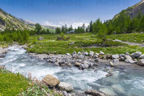 Mountain stream, river, Alps, mountains, mountain stream, fresh, clean, climate, environment, mountain idyll, idyllic, picturesque, journey, hike, hiking, mountain landscape, flower meadow, landscape, beautiful, beautiful weather, summer holiday, nature, Valais, Switzerland, Europe