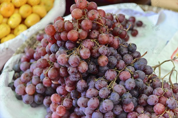 Fresh grapes at a market in Mandalay, Mandalay, Myanmar, Asia