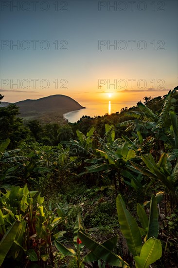 View from a mountain to a secluded bay with a sandy beach and mangrove forest. The sun rises over the sea and bathes the surroundings in a golden light. Grande Anse beach, Basse Terre, Guadeloupe, French Antilles, Caribbean, North America