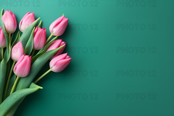 Bunch of pink tulip spring flowers on side of green background with copy space. KI generiert, generiert AI generated