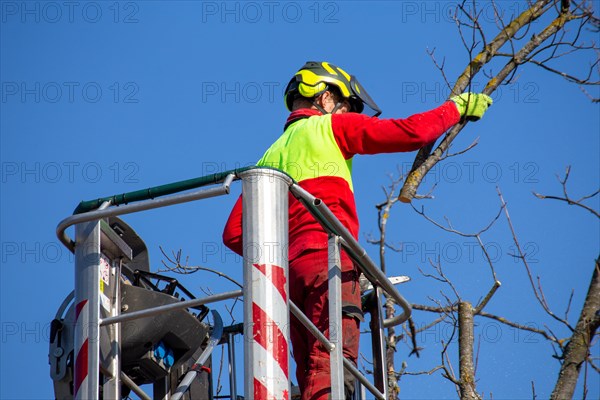 Man on the work platform pruning trees