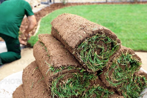 Gardener lays sod