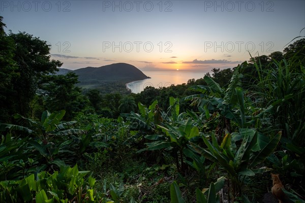 View from a mountain to a secluded bay with a sandy beach and mangrove forest. The sun rises over the sea and bathes the surroundings in a golden light. Grande Anse beach, Basse Terre, Guadeloupe, French Antilles, Caribbean, North America