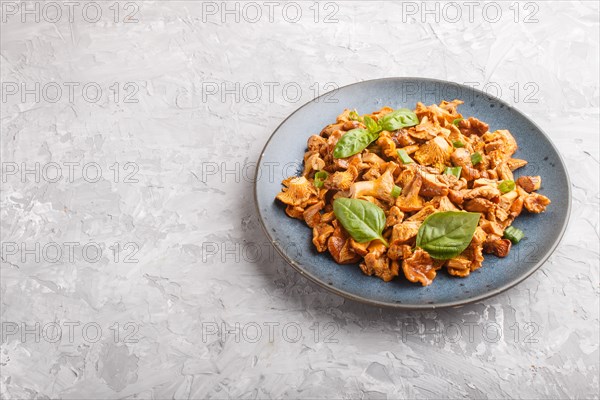 Fried chanterelle mushrooms with basil and spice herbs on gray concrete background. Side view, copy space