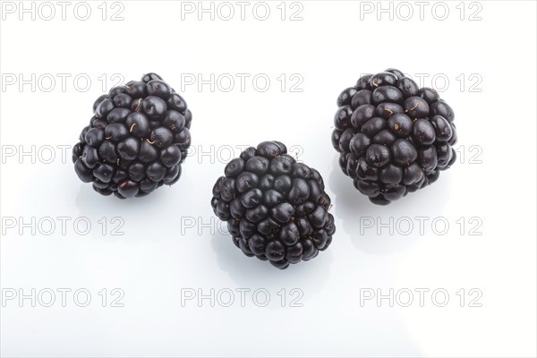 Three ripe dewberry isolated on white background. side view, close up