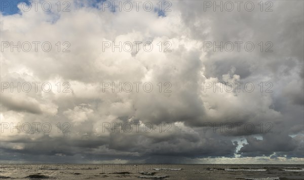 Rain clouds over the North Sea, Henne, Region Syddanmark, Denmark, Europe