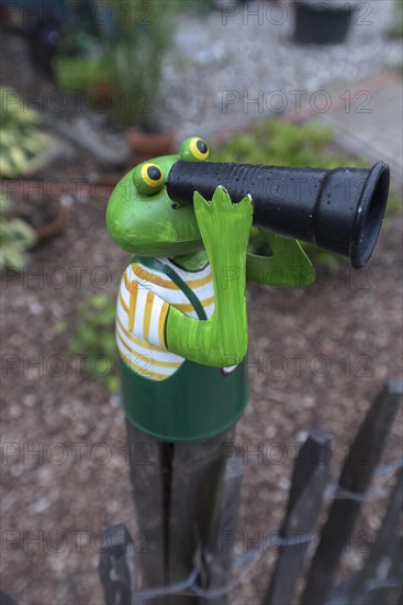 Colourful tin frog on a garden fence, Mecklenburg-Vorpommern, Germany, Europe