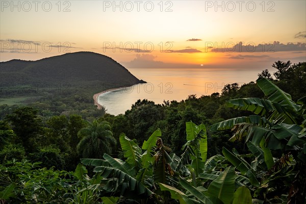 View from a mountain to a secluded bay with a sandy beach and mangrove forest. The sun rises over the sea and bathes the surroundings in a golden light. Grande Anse beach, Basse Terre, Guadeloupe, French Antilles, Caribbean, North America