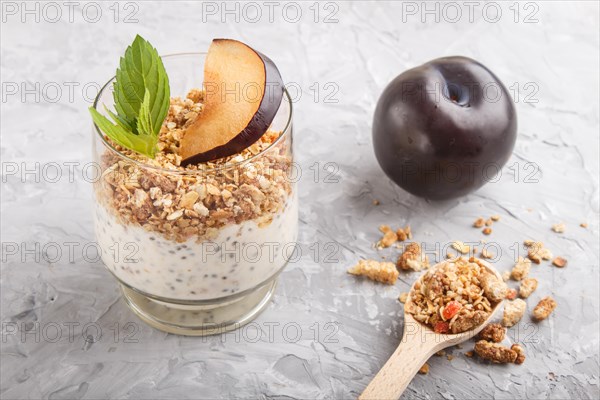 Yoghurt with plum, chia seeds and granola in a glass and wooden spoon on gray concrete background. side view, close up