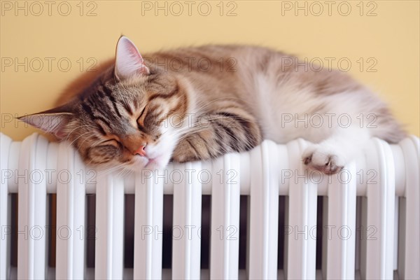 Cat sleeping on heating radiator. KI generiert, generiert AI generated