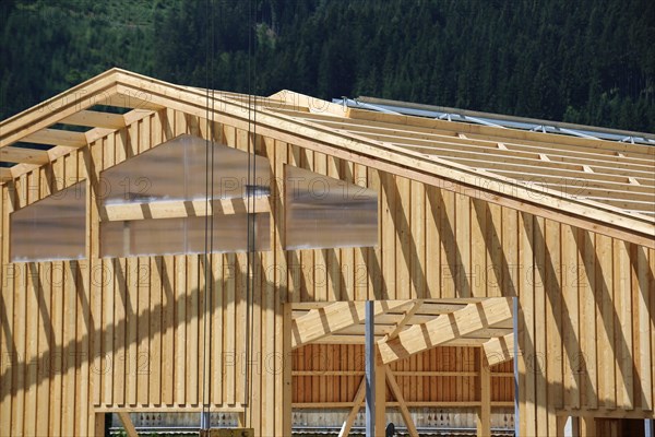 Timber construction, timber construction. Construction of a new hall (Aurach near Kitzbuehel, Tyrol, Austria)