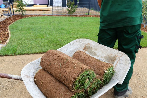 Gardener lays sod