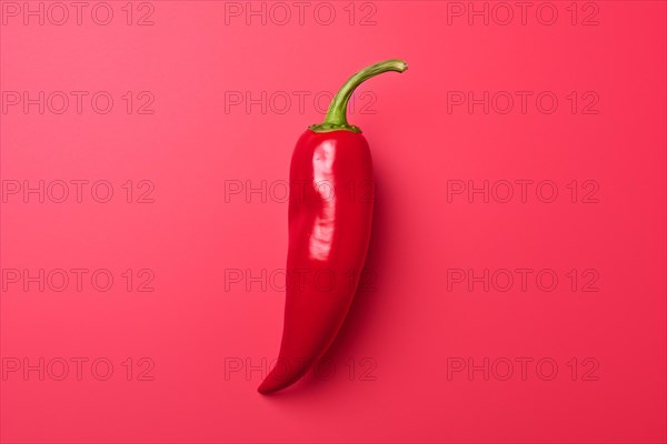 Single red chilli pepper vegetable on bright pink background. KI generiert, generiert AI generated