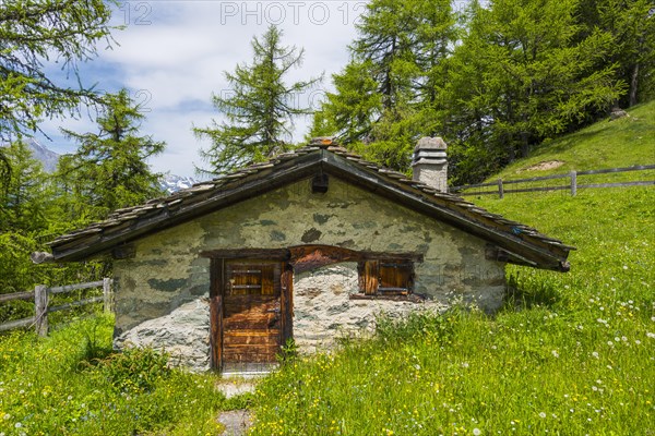 Swiss mountain hut in the Valais Alps, nature, hut, alpine pasture, mountain pasture, idyllic, idyllic, flower meadow, alpine landscape, lovely, romantic, refuge, shepherd, tourism, travel, holiday, summer, summery, picturesque, scenery, Valais, Switzerland, Europe